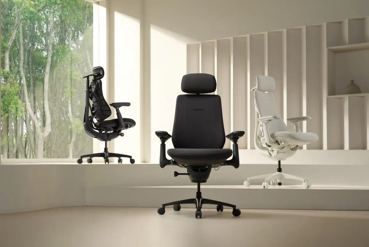 LiberNovo Omni, Omni Pro, Omni SE y Maxis: ¿qué silla ergonómica elegir?
