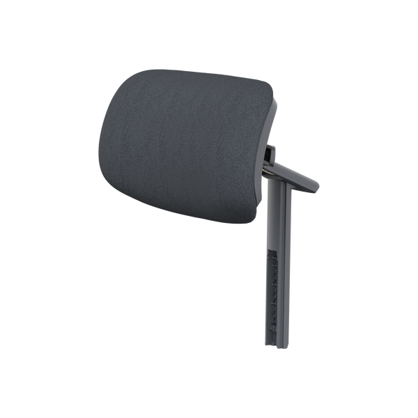 Conjunto del reposacabezas