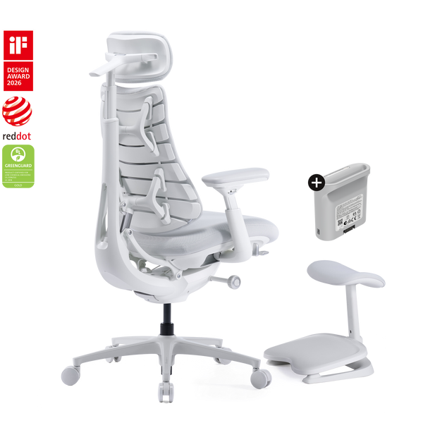 Silla ergonómica dinámica LiberNovo Omni Pro

