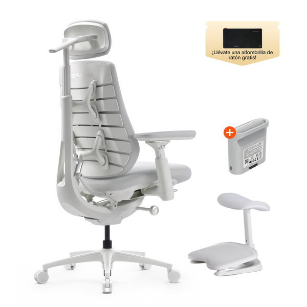 Silla ergonómica dinámica LiberNovo Maxis
