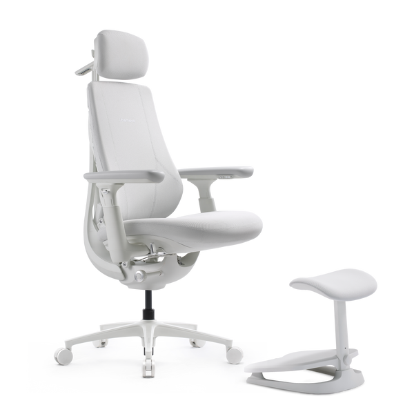 Silla ergonómica dinámica LiberNovo Maxis
