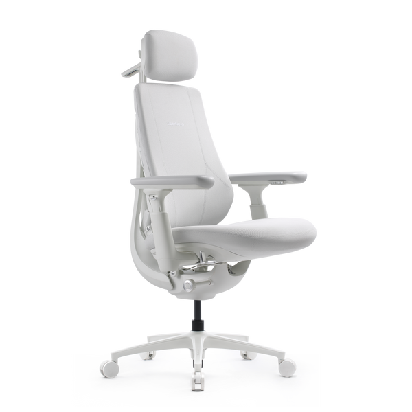 Silla ergonómica dinámica LiberNovo Maxis
