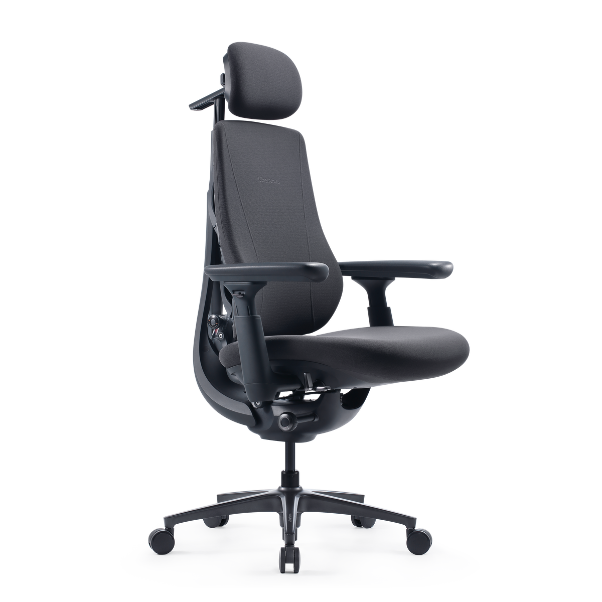 Silla ergonómica dinámica LiberNovo Maxis

