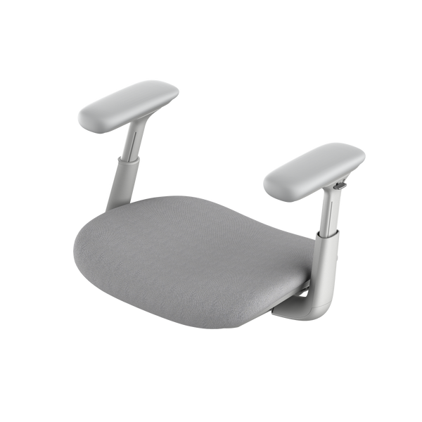 Conjunto del armazón del asiento