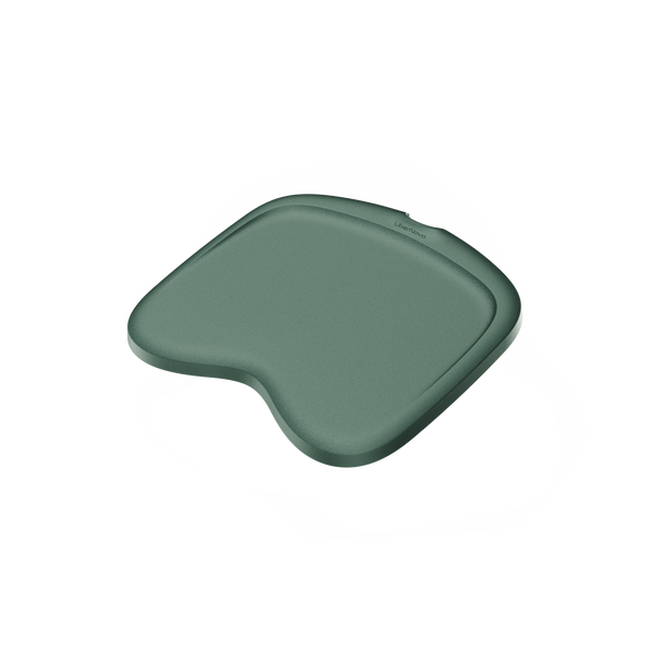 Plataforma del reposapiés